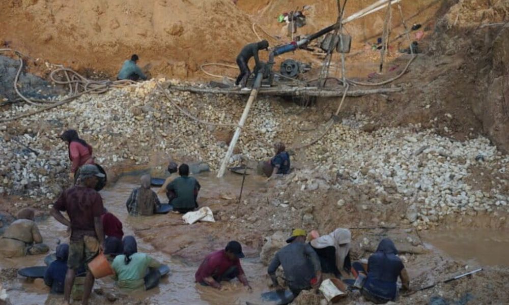 PETI Merangin: Produksi 20 Kg Emas per Hari, Disuplai Solar Subsidi Ilegal Lintas Provinsi - TAMBANG.NEWS